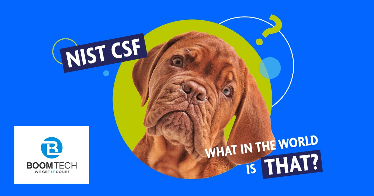 Mom, Where Do Cybersecurity Principles Come From? NIST CSF 5